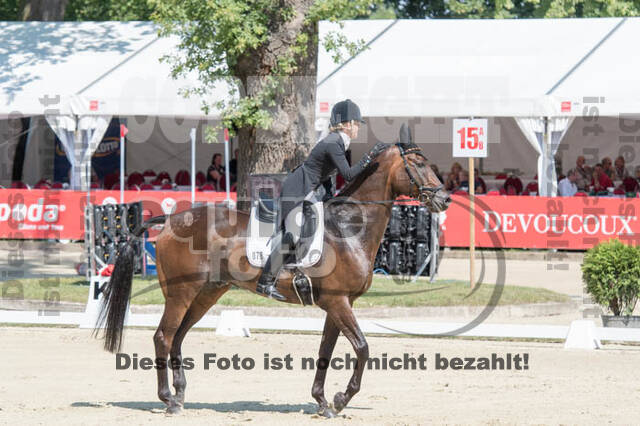 FEI European Championship Eventing 2017