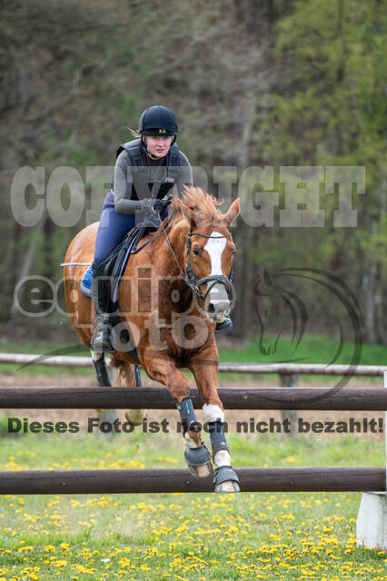 Geländetraining ZRFV Hamminkeln (24+25.04.2021)