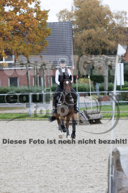IGV Lehrgang der Sieger der Cups mit Frank Ostholt