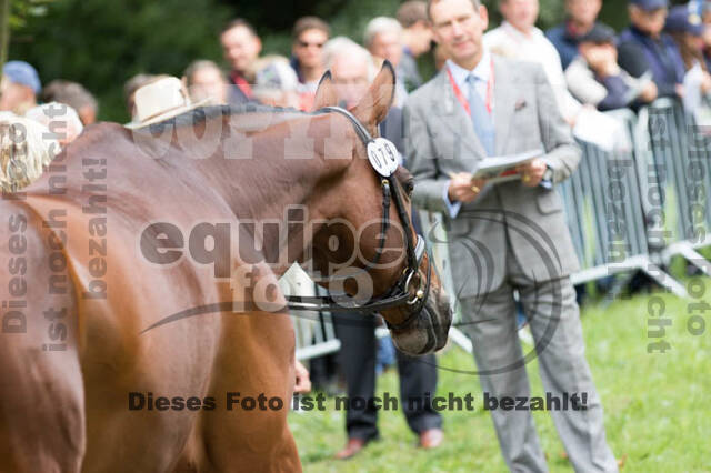 FEI European Championship Eventing 2017