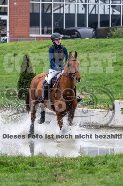 Goldene Schärpe 2020 - Pferde