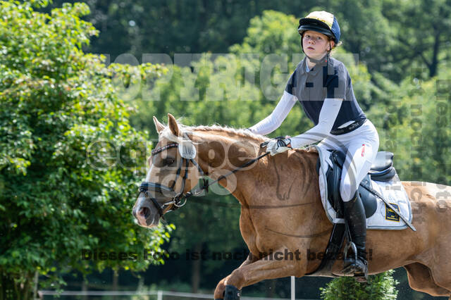 Goldene Schärpe 2021 - Ponys