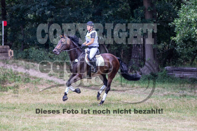 Late-Entry Vielseitigkeit Hamminkeln/Wesel (01.+02.08.2020)