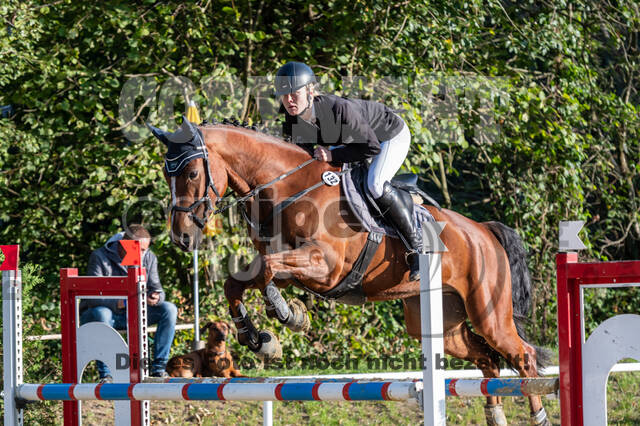 RFV Dinslaken-Hiesfeld (Herbstturnier)