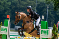 Goldene Schärpe 2021 - Ponys