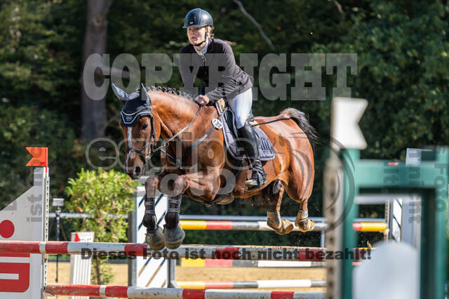 RFV Dinslaken-Hiesfeld (Herbstturnier)