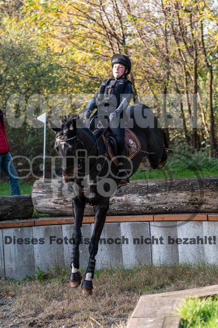 IGV Lehrgang der Sieger der Cups mit Frank Ostholt