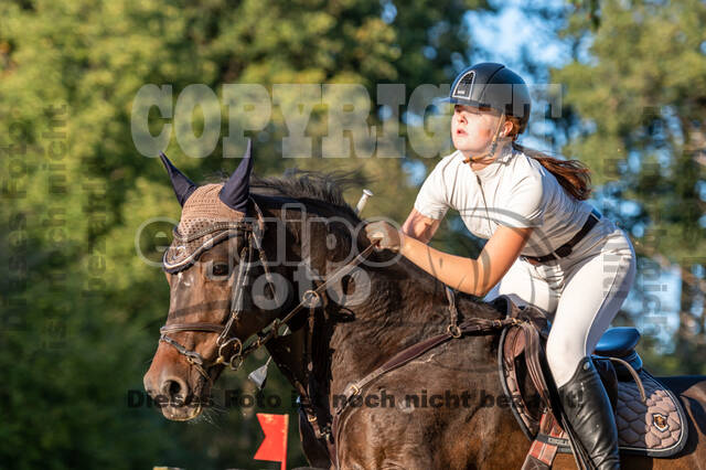 RFV Dinslaken-Hiesfeld (Herbstturnier)