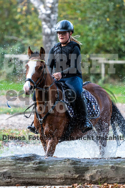 IGV Lehrgang der Sieger der Cups mit Frank Ostholt