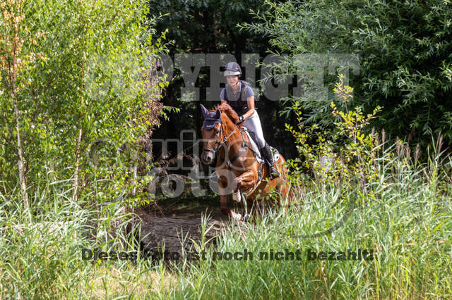 Late-Entry Vielseitigkeit Hamminkeln/Wesel (01.+02.08.2020)