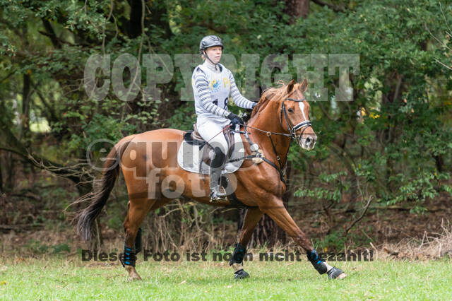 Vielseitigkeit RSV Wesel Obrighoven (26.+27.09.2020)