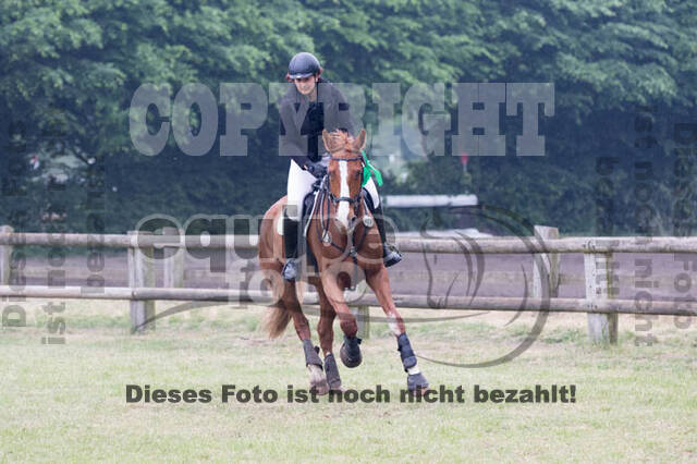 Vielseitigkeitsturnier ZRFV von Lützow Hamminkeln