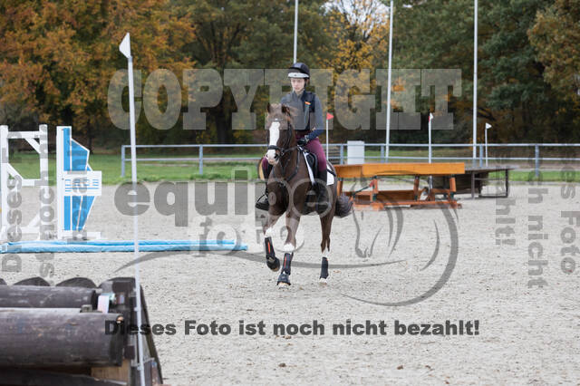 IGV Lehrgang der Sieger der Cups mit Frank Ostholt