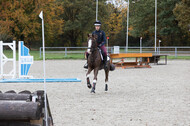 IGV Lehrgang der Sieger der Cups mit Frank Ostholt