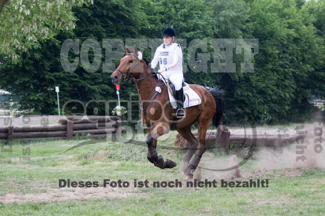Vielseitigkeitsturnier ZRFV von Lützow Hamminkeln