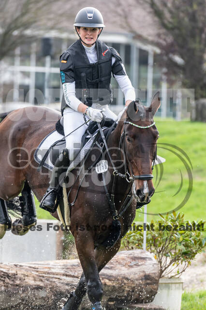 Goldene Schärpe 2020 - Pferde