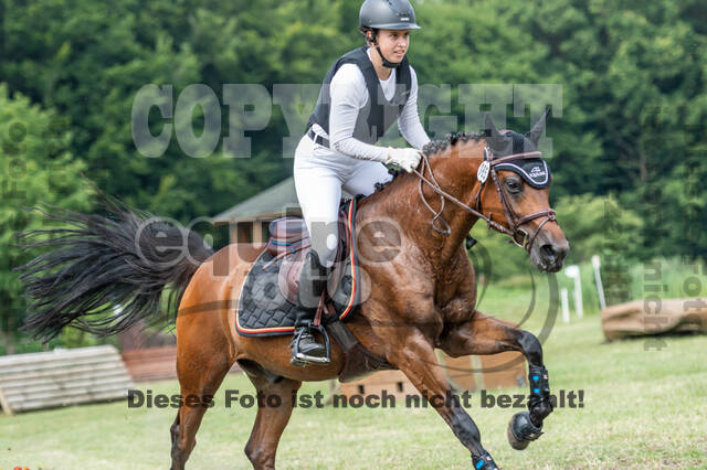 Goldene Schärpe 2021 - Ponys