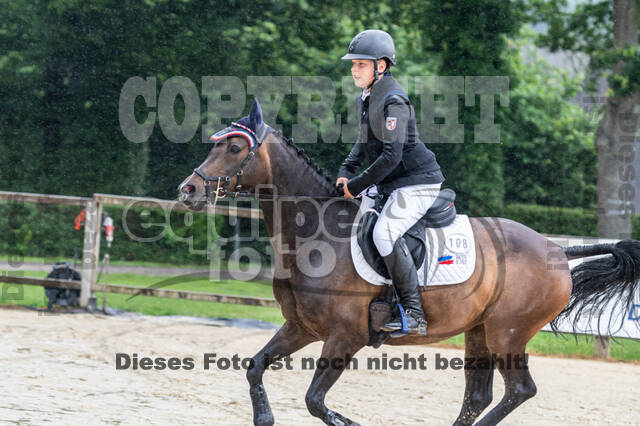 Goldene Schärpe 2021 - Ponys