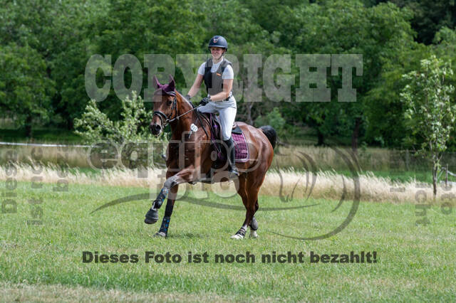 Bonn-Rodderberg Late-Entry-Vielseitigkeit (30.06.2020)