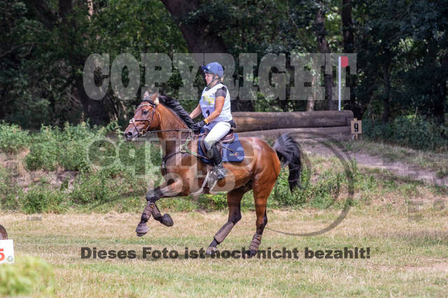 Late-Entry Vielseitigkeit Hamminkeln/Wesel (01.+02.08.2020)