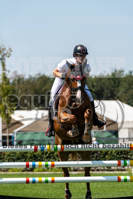 Kronenberg - De Peelbergen (August 2020)