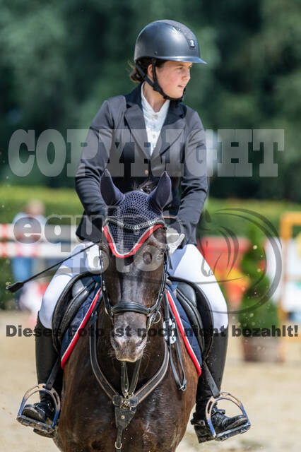 Goldene Schärpe 2021 - Ponys