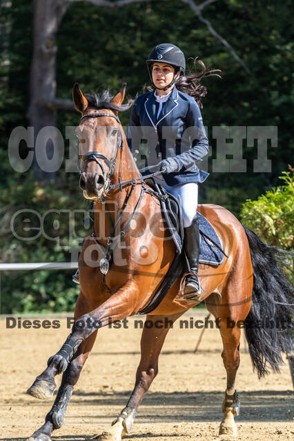 RFV Dinslaken-Hiesfeld (Herbstturnier)