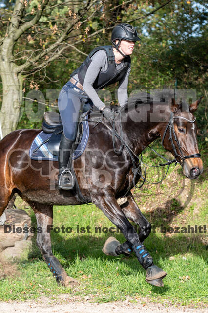IGV Lehrgang der Sieger der Cups mit Frank Ostholt