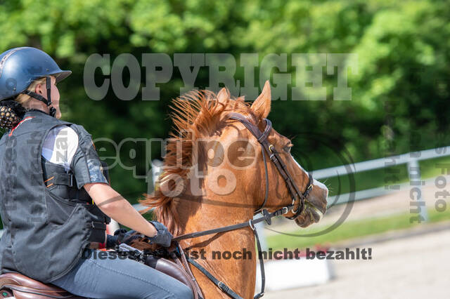 Test of Choise Langenfeld (29.+30.05.2021)