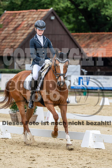 Goldene Schärpe 2021 - Ponys