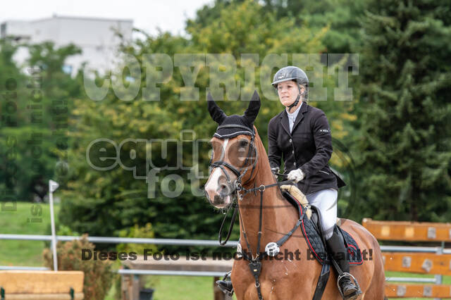 Late-Entry-Vielseitigkeit Langenfeld (06.+07.07.2020)