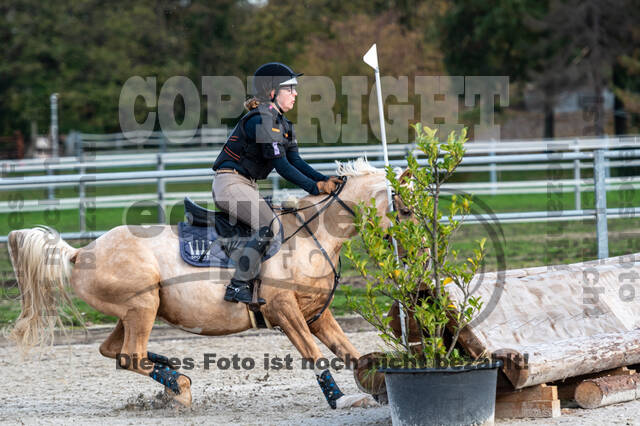 IGV Lehrgang der Sieger der Cups mit Frank Ostholt