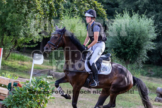 Late-Entry Vielseitigkeit Hamminkeln/Wesel (01.+02.08.2020)