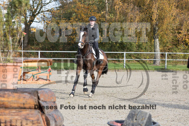 IGV Lehrgang der Sieger der Cups mit Frank Ostholt