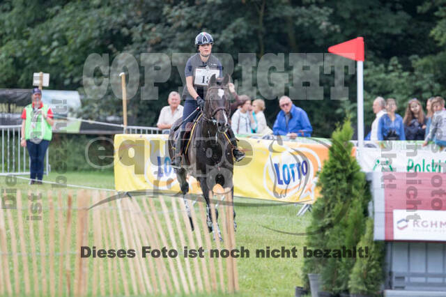 FEI European Championship