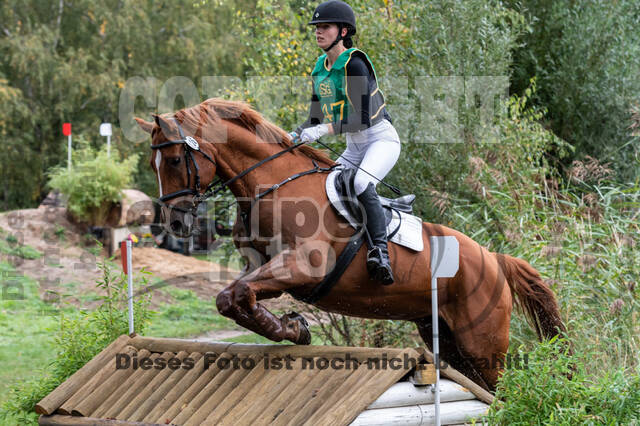 Vielseitigkeit RSV Wesel Obrighoven (26.+27.09.2020)