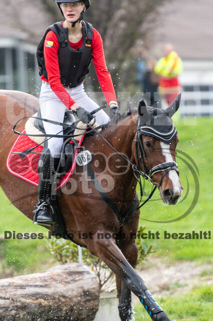 Goldene Schärpe 2020 - Pferde