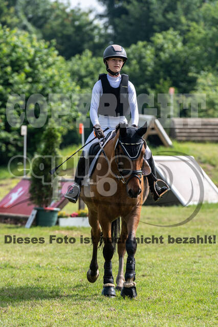 Goldene Schärpe 2021 - Ponys