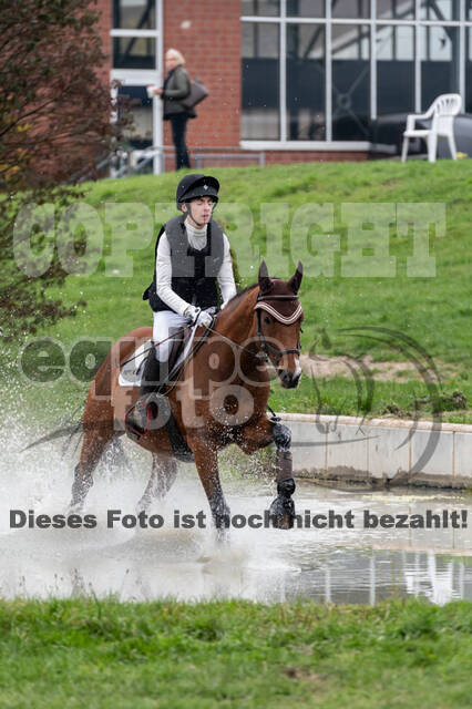 Goldene Schärpe 2020 - Pferde