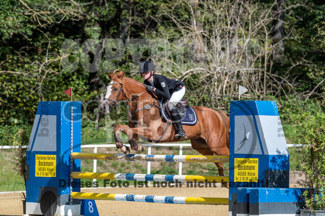 RFV Dinslaken-Hiesfeld (Herbstturnier)