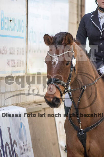 Vierkampf Kreismeisterschaft Wesel 2018