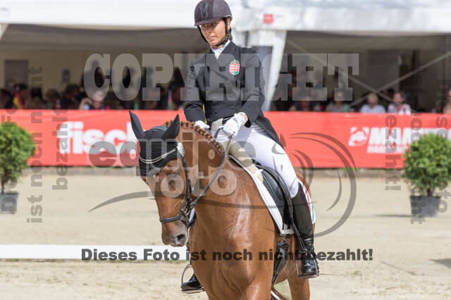 FEI European Championship Eventing 2017