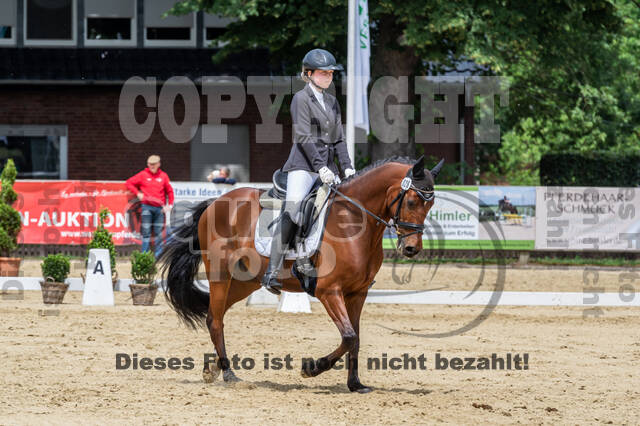 Goldene Schärpe 2021 - Ponys