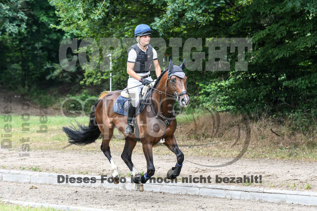 Late-Entry-Vielseitigkeit Langenfeld (11.+13./14.06.2020)