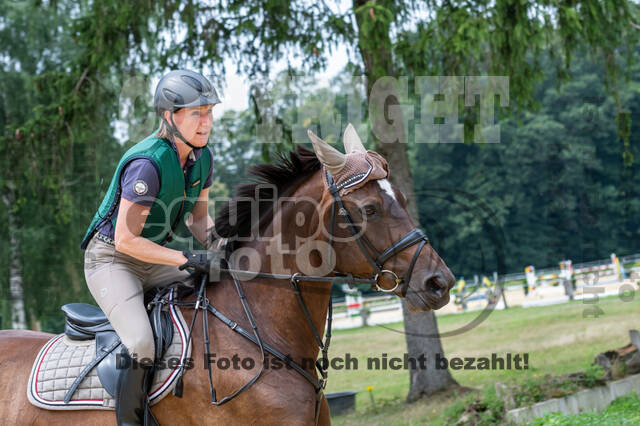 Hunter Geländetraining 10.07.2021 (Sonsbeck)