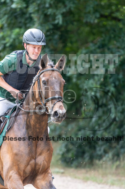 Late-Entry-Vielseitigkeit Langenfeld (11.+13./14.06.2020)