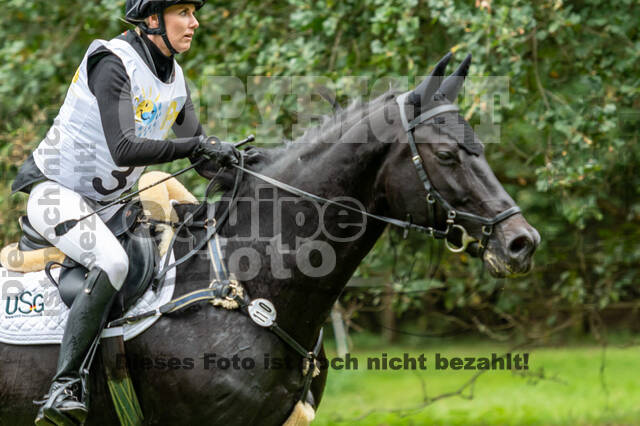 Vielseitigkeit RSV Wesel Obrighoven (26.+27.09.2020)