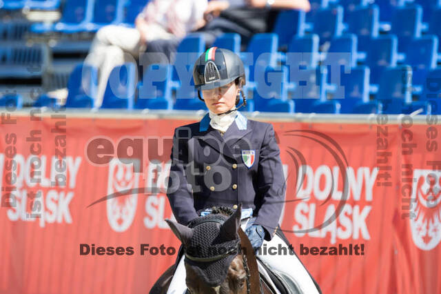 FEI European Championship