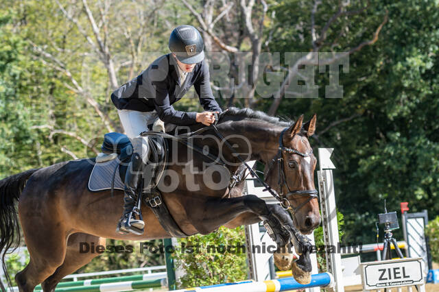 RFV Dinslaken-Hiesfeld (Herbstturnier)