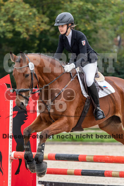 Reiter Schleswig-Holstein